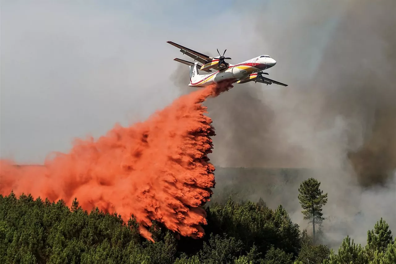 Incendio Francia, Frantzia suteak