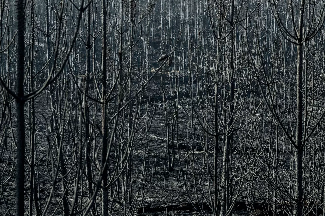 Imagen tomada por EFE en Orense, donde hay varios incendios activos.