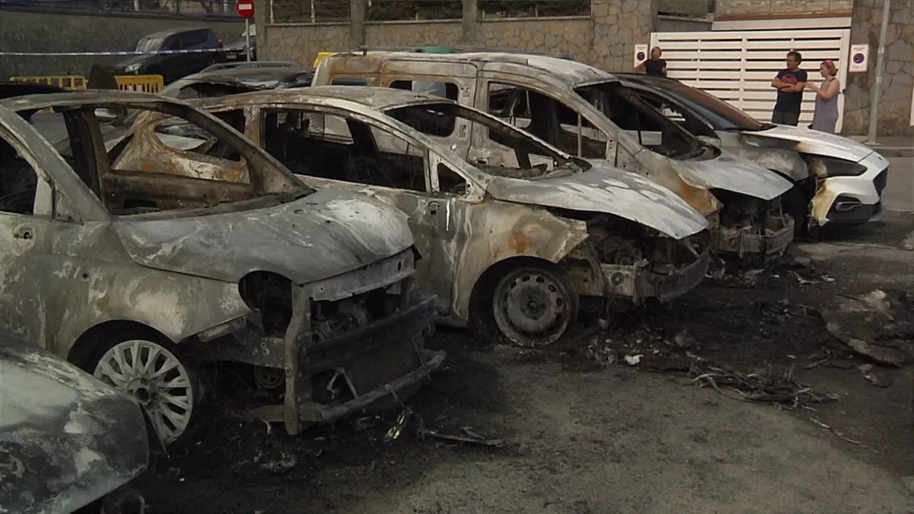 Kiskalitako autoetako batzuk. Argazkia: EITB MEDIA