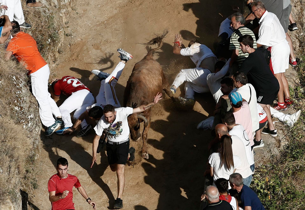 falces faltzes entzierroa nafarroa efe