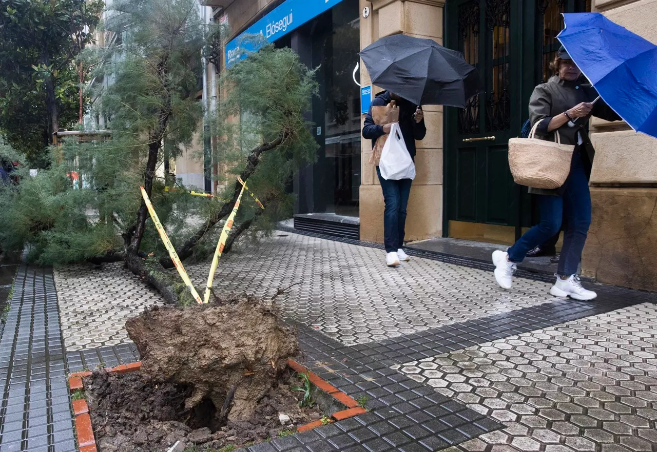 viento haizea donostia san sebastian