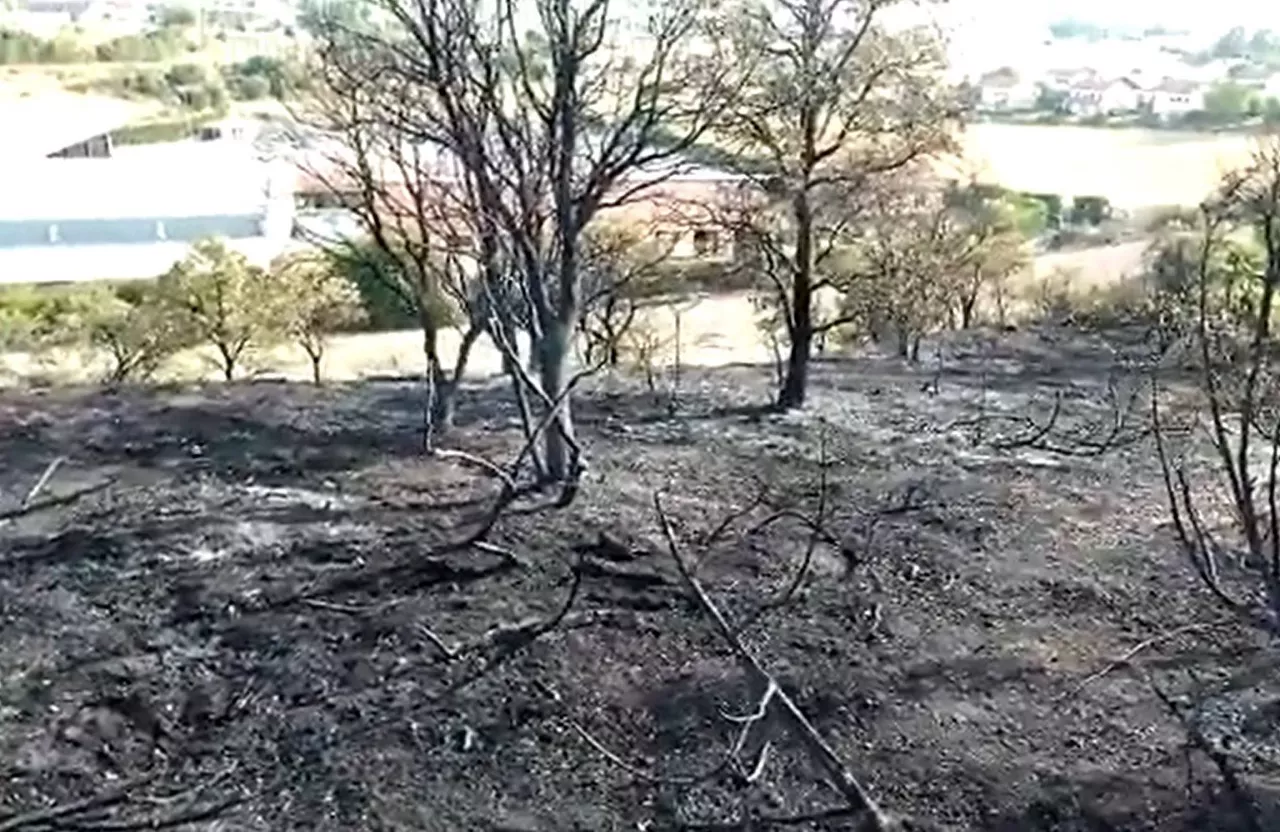 Imagen de la zona que ha quedado calcinada. Foto: @BomberosAraba