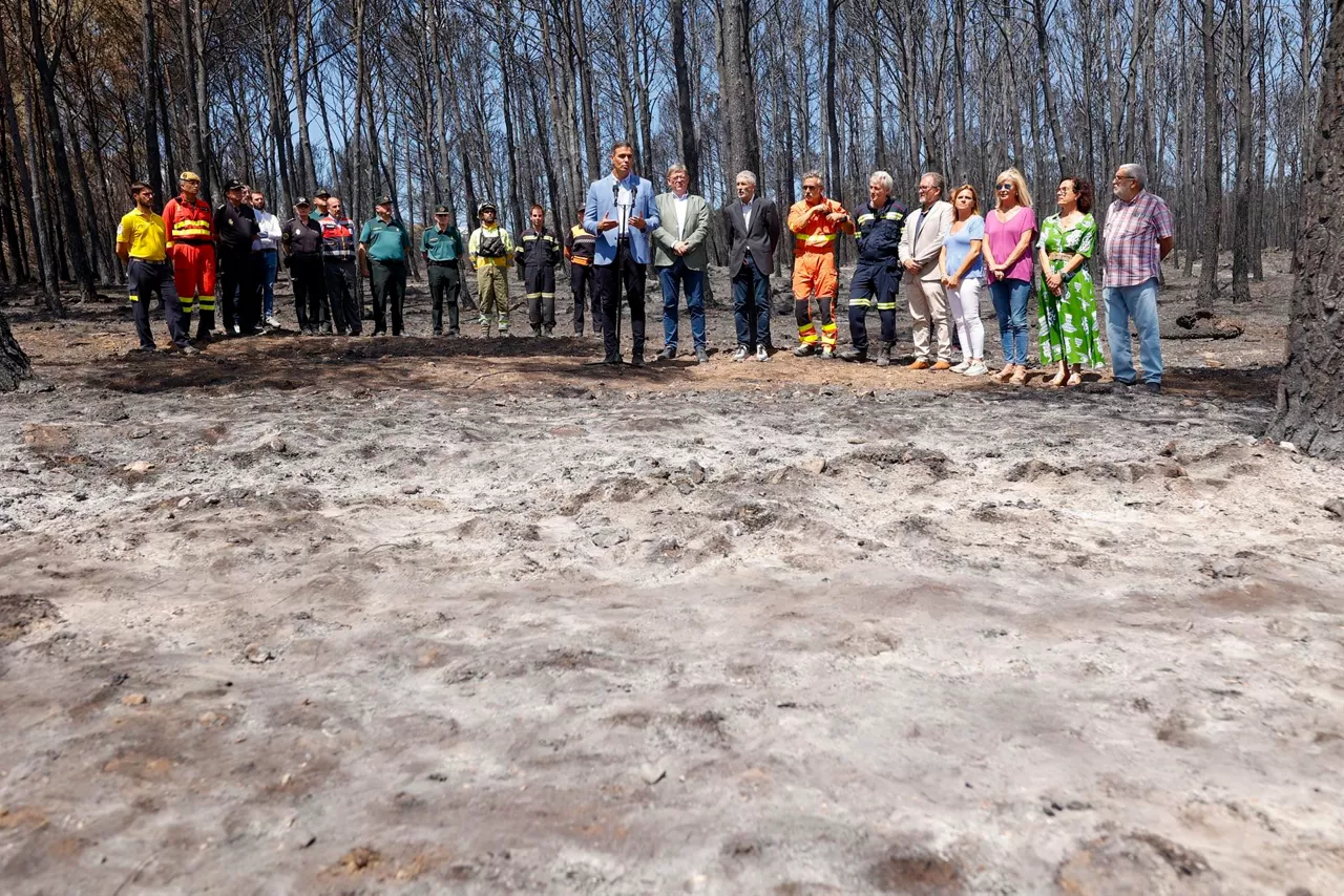 Pedro Sánchez ha visitado la zona arrasada por el fuego en Bejís. Foto: EFE
