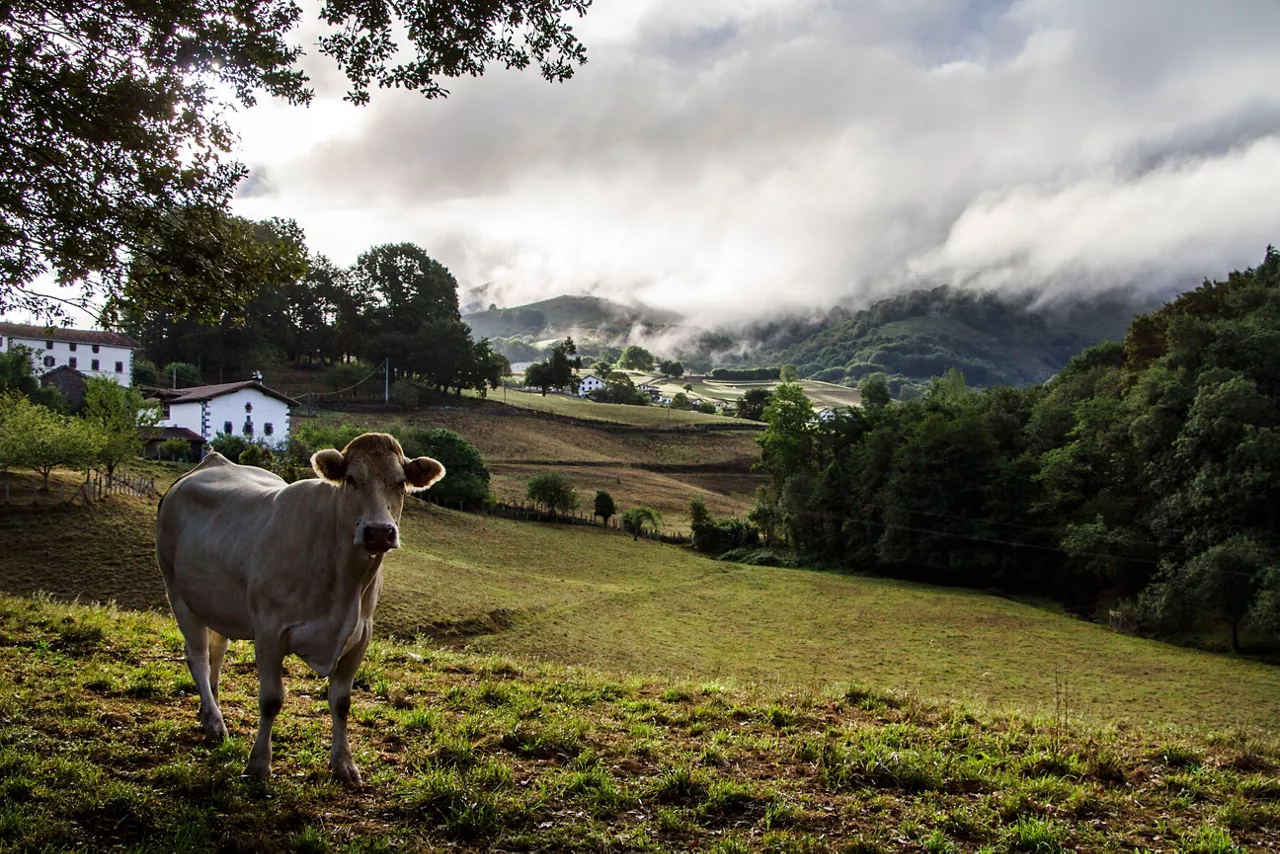 El entorno rural es un gran atractivo para el turismo. Foto de Juan Lameirinhas cedida a EITB.