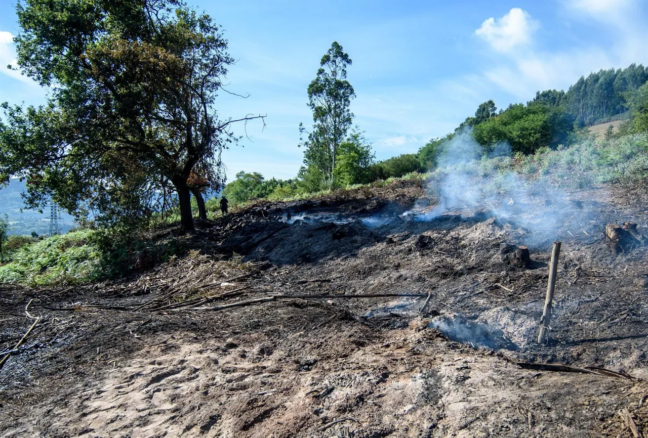 Incendio en Basuri (EFE)