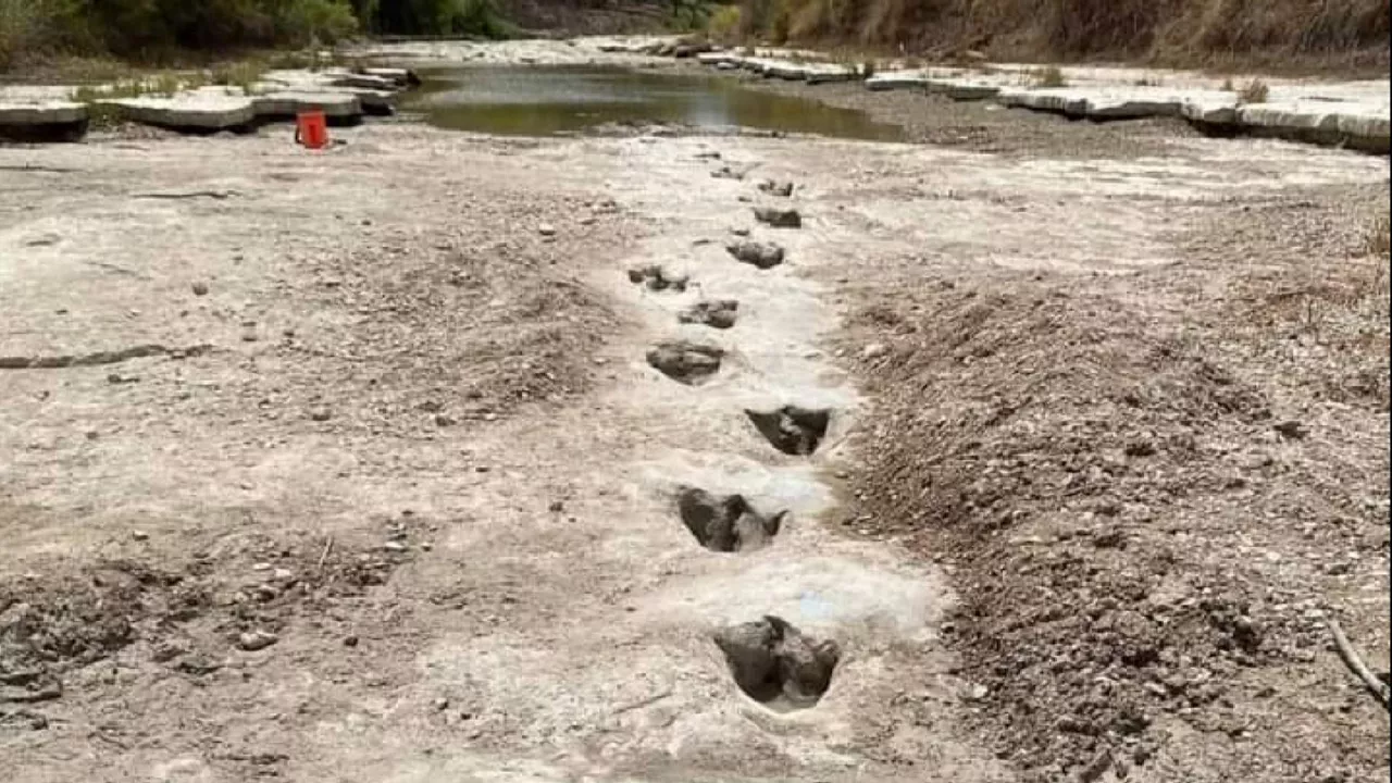 Huellas de dinosaurios. Imagen: Agencias