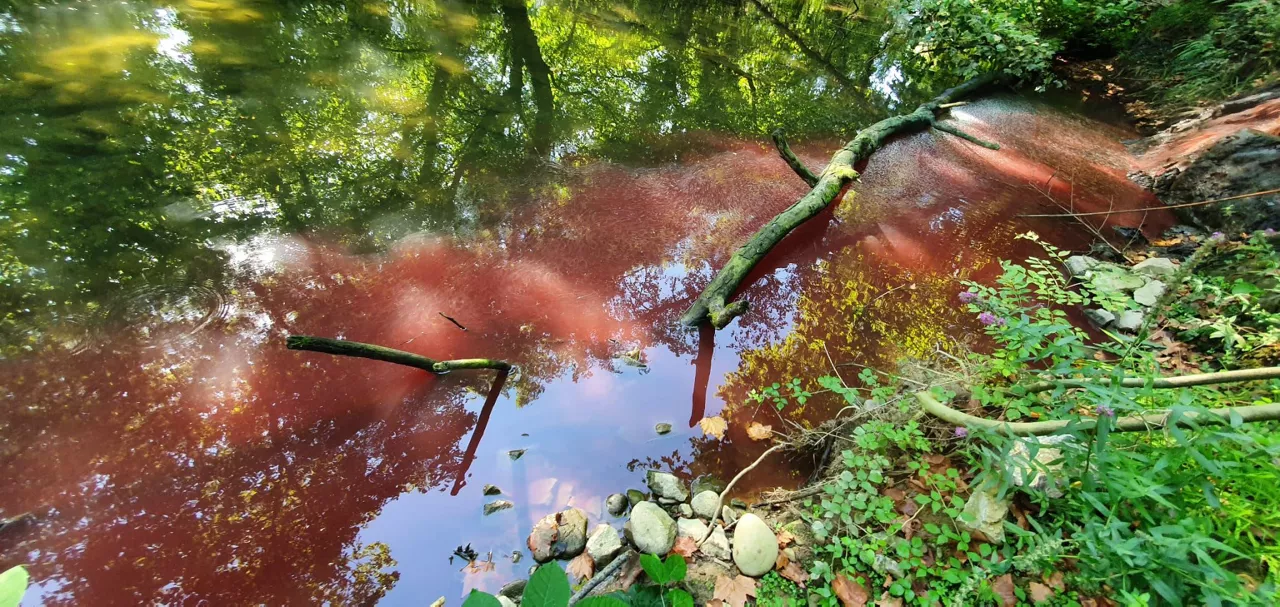 Vertido en el río Urola. Imagen: Eguzki