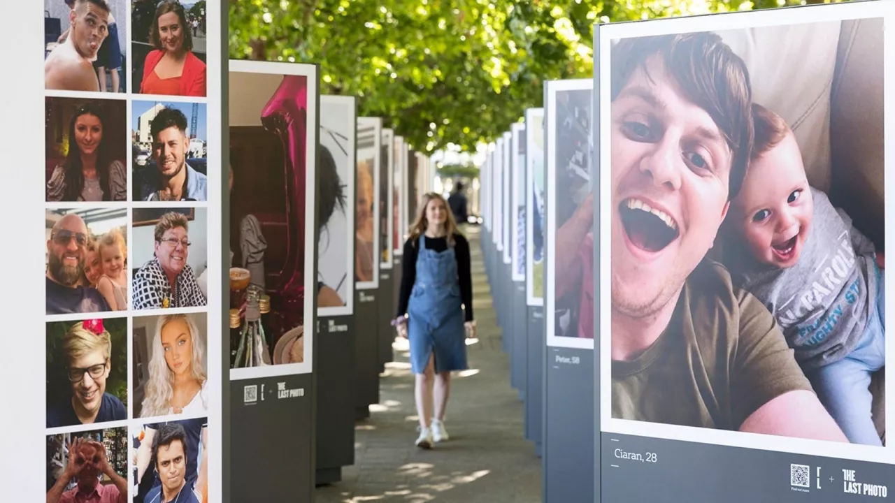 Además de la página web, han realizado exposiciones en lugares públicos. Foto: CALM