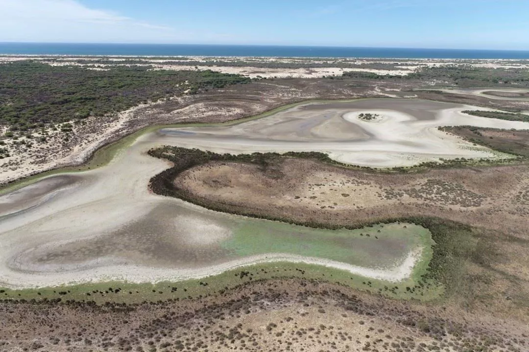 Imagen de la laguna de Santa Olalla en Doñana. Foto: CSIC