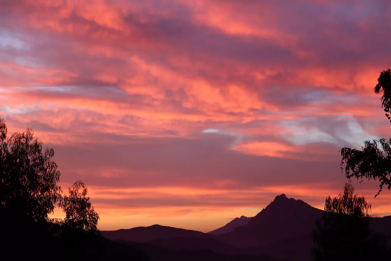 Iurreta (Txaro de Ortiz de Zarate)