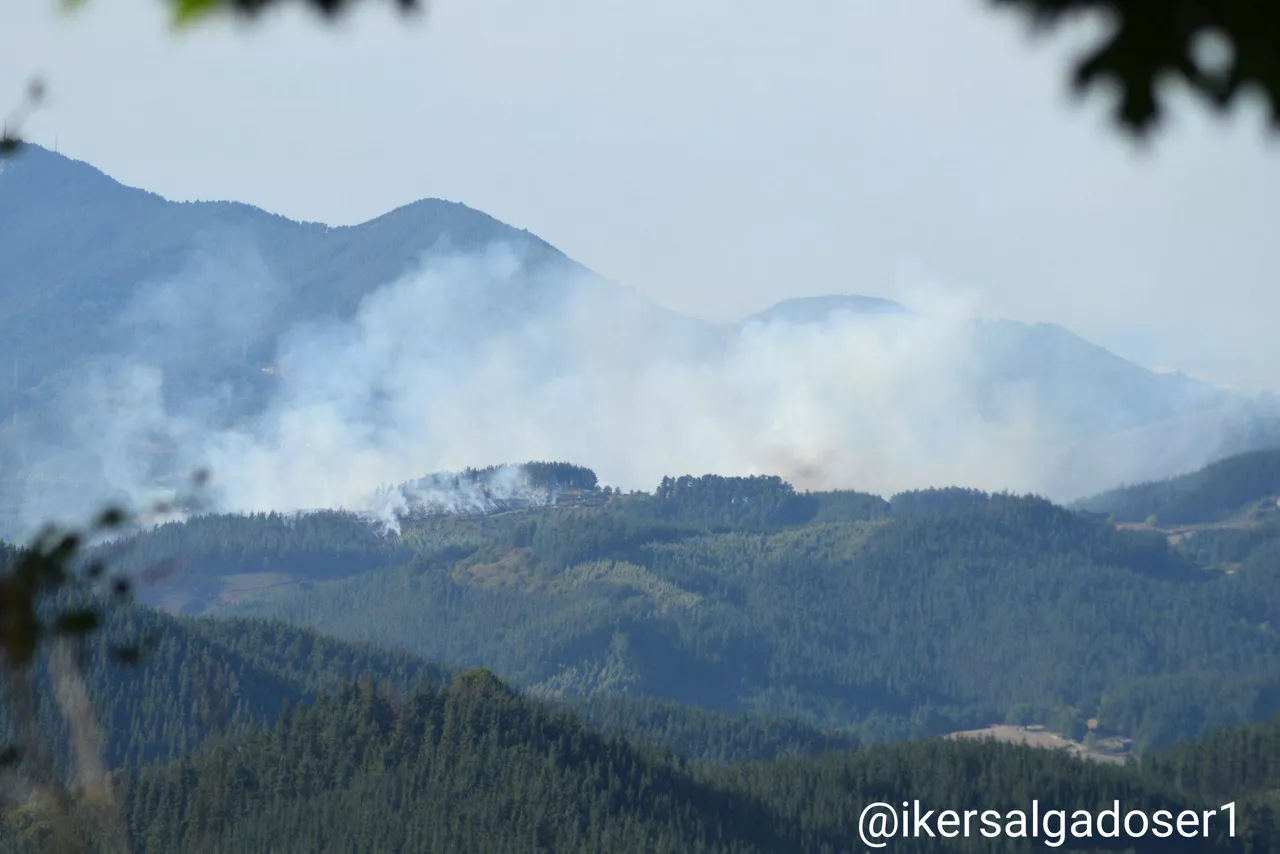Incendio declarado en Zeberio, el pasado mes. Foto: Iker Salgado