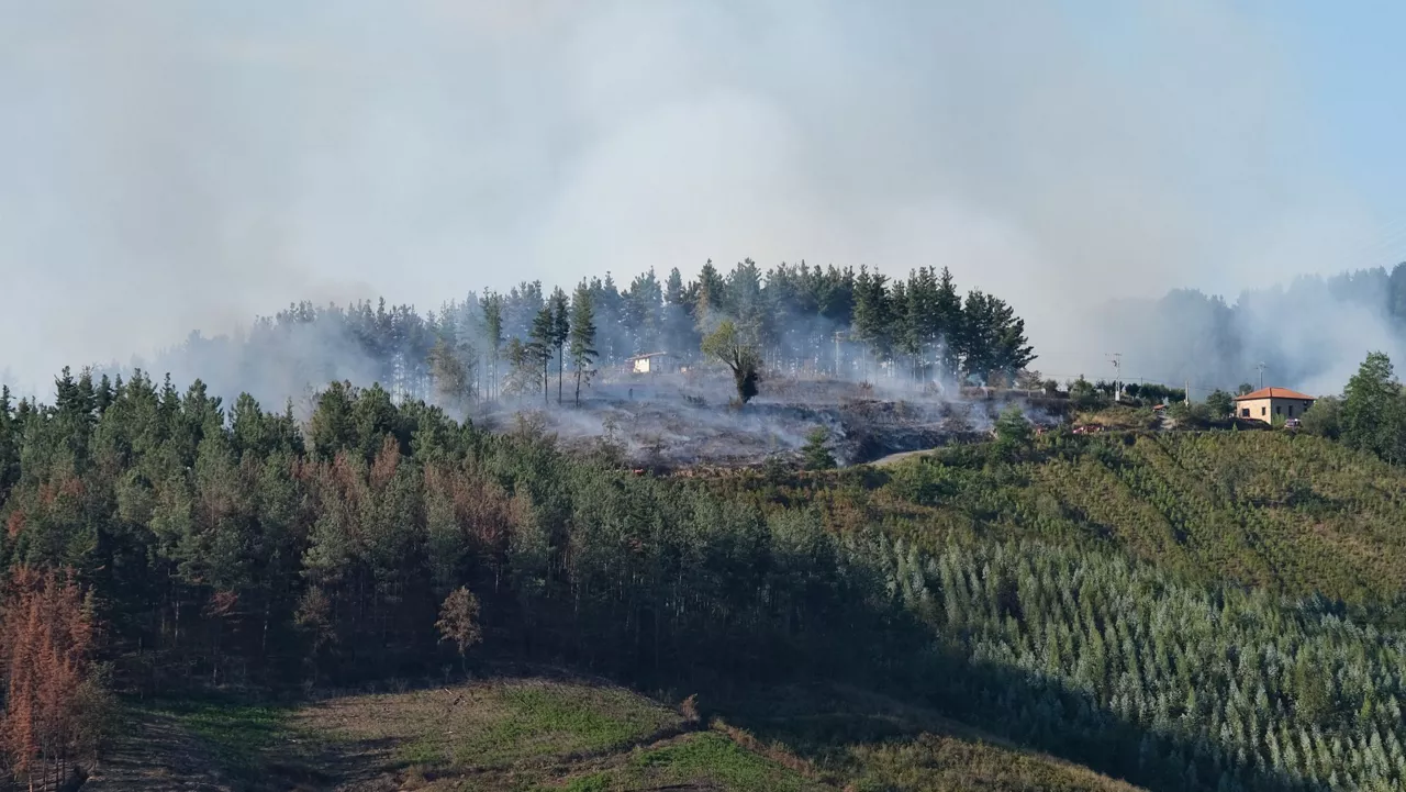 Imagen del incendio declarado en Zeberio. Foto: EITB MEDIA