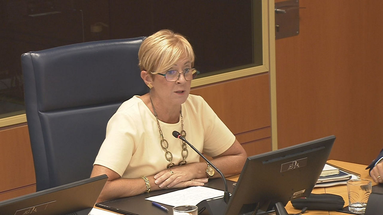 Arantxa Tapia. Legebiltzarreko bideo batetik ateratako irudia.