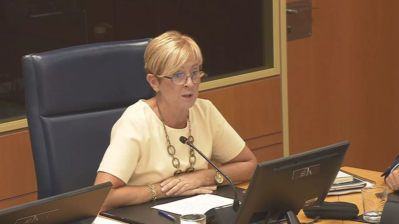 Arantxa Tapia. Legebiltzarreko bideo batetik ateratako irudia.