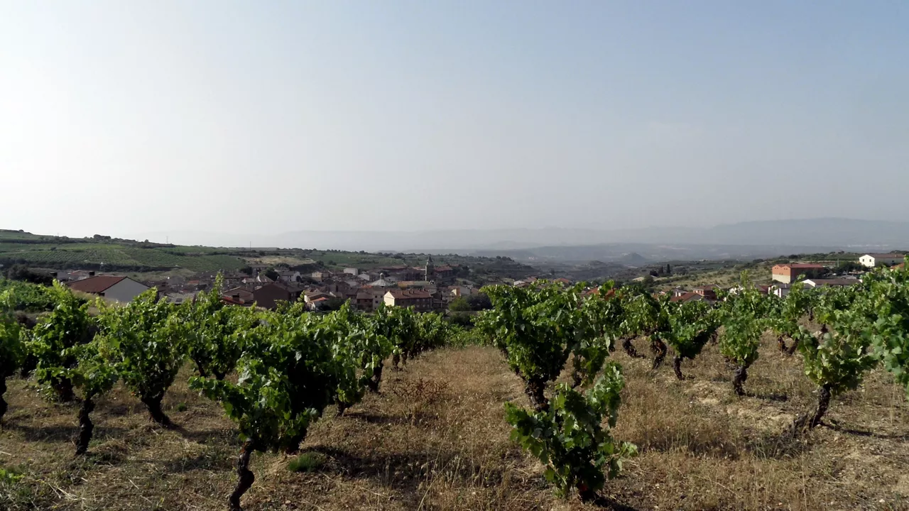 LANCIEGO lantziego rioja alavesa arabako errioxa
