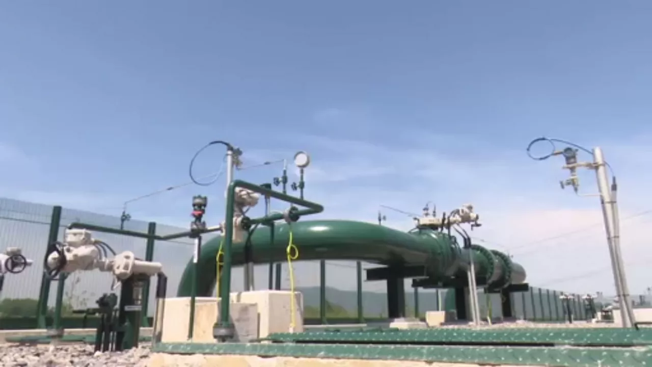 Artxiboko irudia: EITB Media