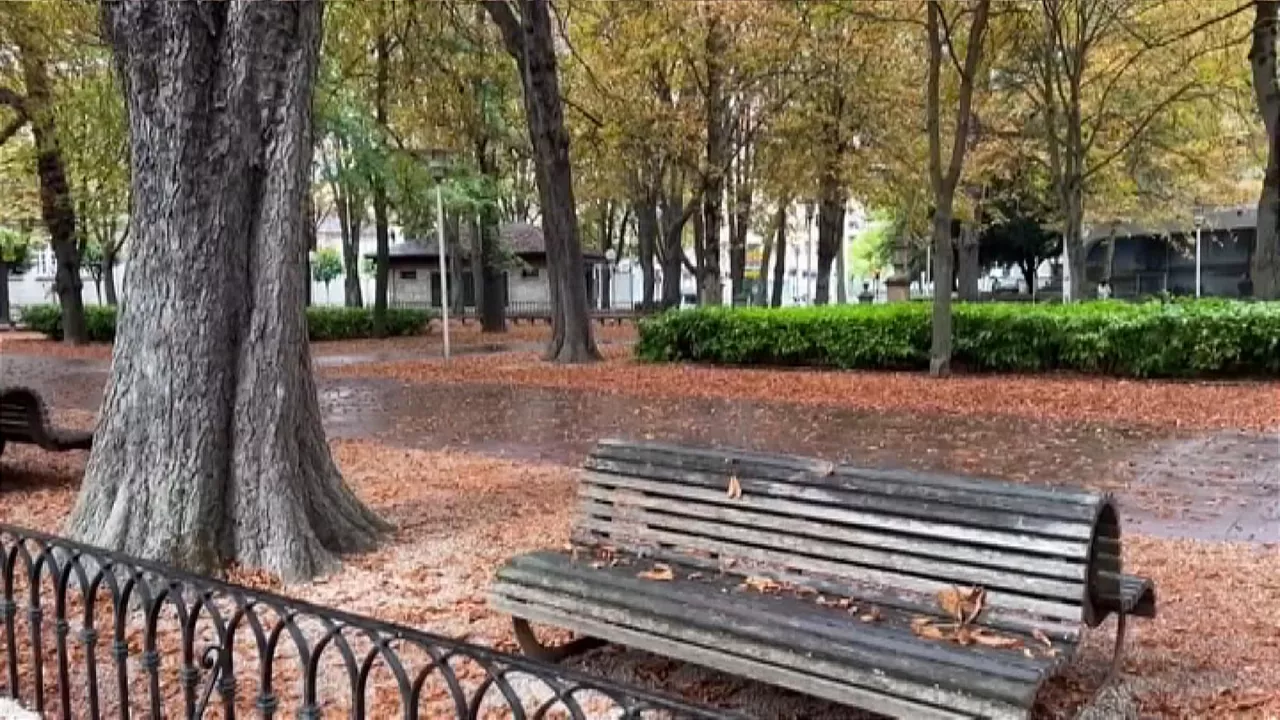 Primeras hojas de otoño en Vitoria-Gasteiz. Foto: EITB Media