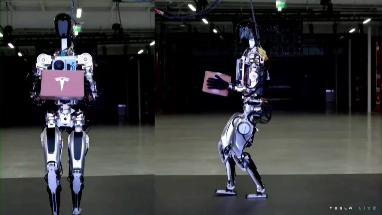 Robot Optimus