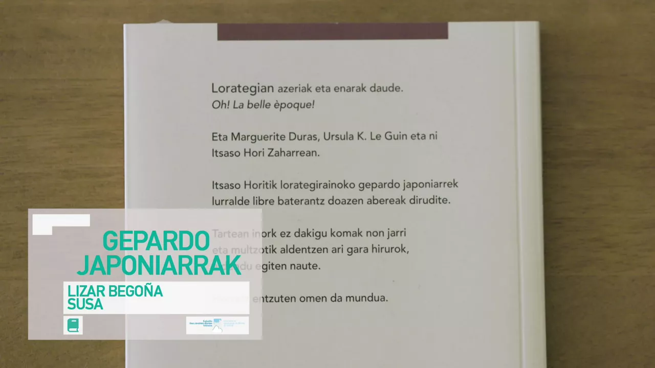 Kulturklik gepardo japoniarrak lizar begoña susa