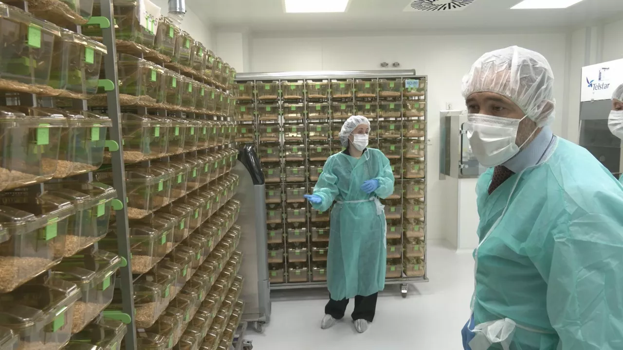 Animalario de la UPV/EHU. Imagen obtenida de un vídeo de Irekia.