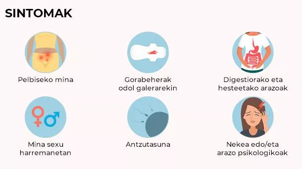 Zeintzuk dira sintoma ohikoenak?