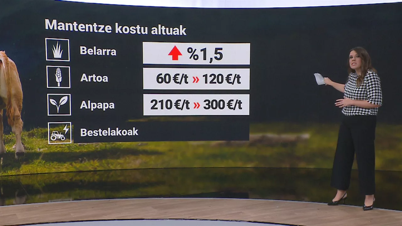 Esne-behiak mantentzeko kostuak.