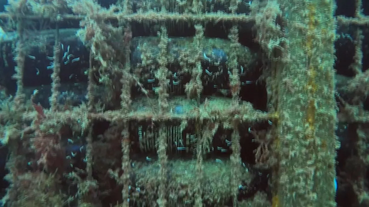 Bodega submarina