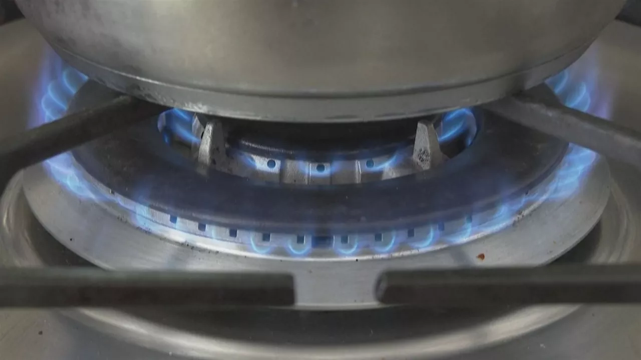 Gasa. EITB Mediaren bideo batetik ateratako irudia.