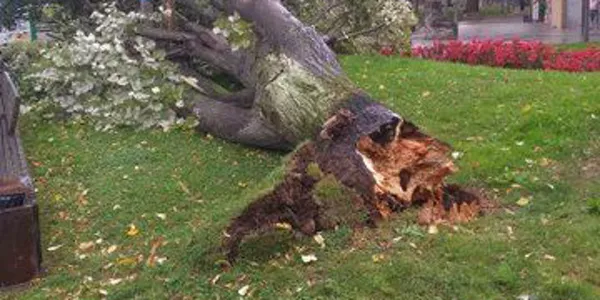 Zornotza