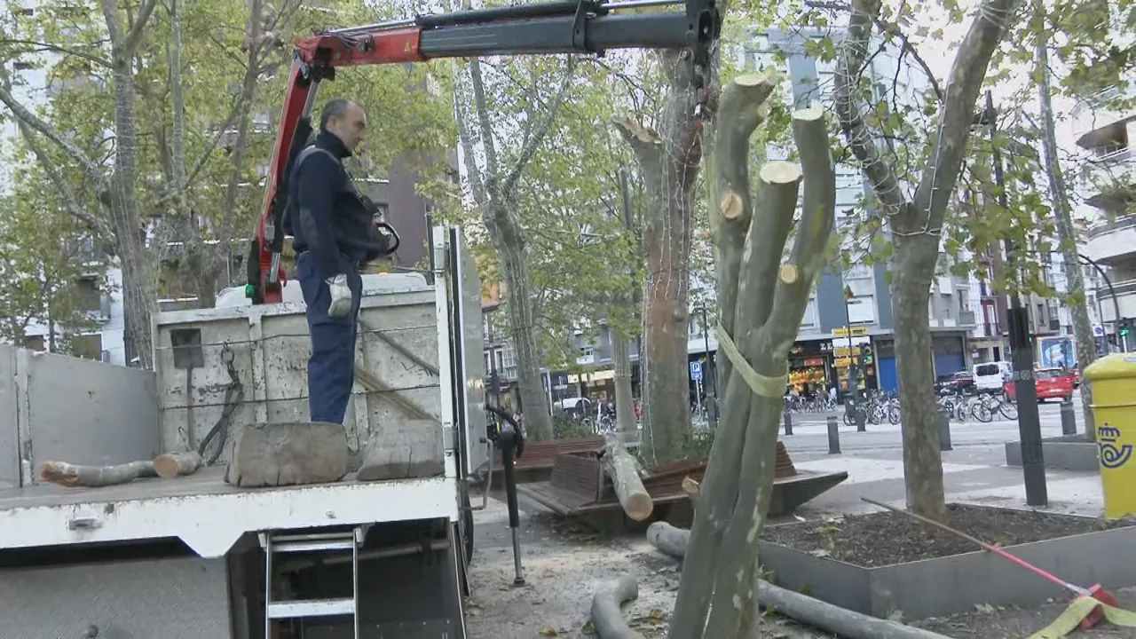 Enborrak jasotzen Gasteizen. EITB Mediaren bideo batetik ateratako irudia.
