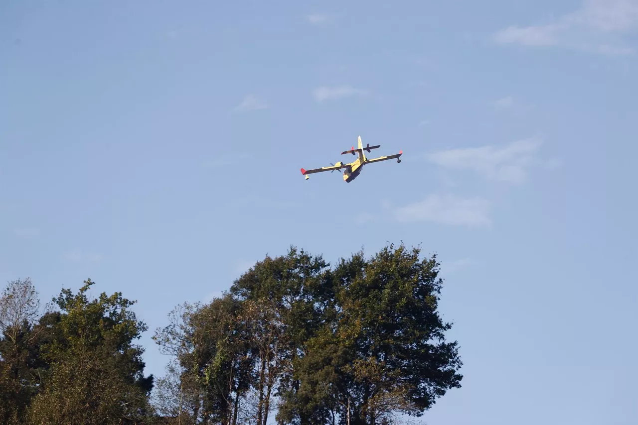 Incendio estabilizado en Balmaseda. Foto: EFE
