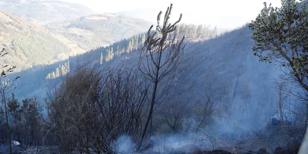 Incendio estabilizado en Balmaseda. Foto: EFE