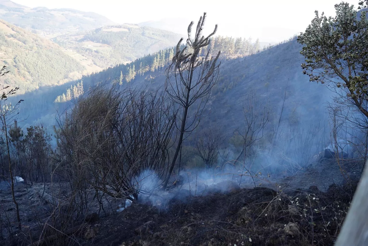 Incendio estabilizado en Balmaseda. Foto: EFE