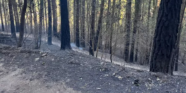 Incendio estabilizado en Balmaseda. Foto: EITB Media