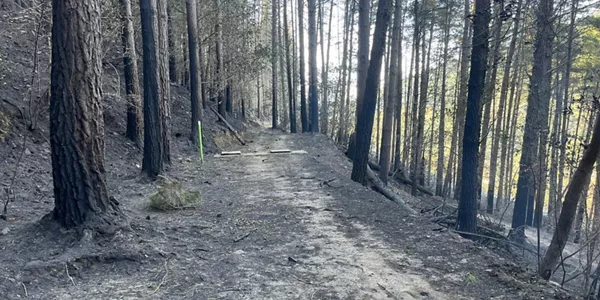 Incendio estabilizado en Balmaseda. Foto: EITB Media
