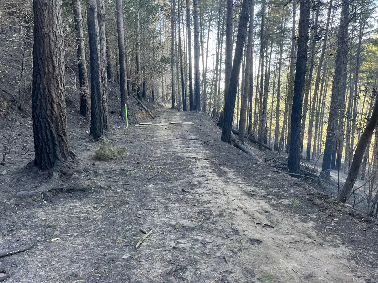 Incendio estabilizado en Balmaseda. Foto: EITB Media