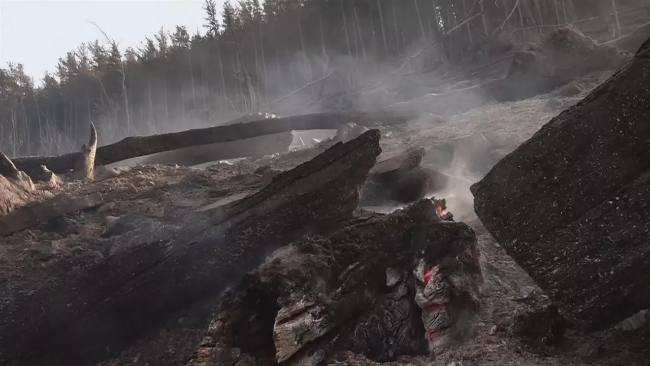 Balmasedako suteak 500 hektareatik gora erre ditu.