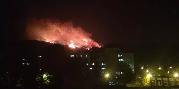 Berangoko sutea. EITB Mediaren bideo batetik ateratako irudia