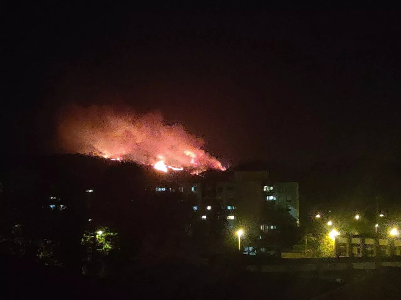 Berangoko sutea. EITB Mediaren bideo batetik ateratako irudia