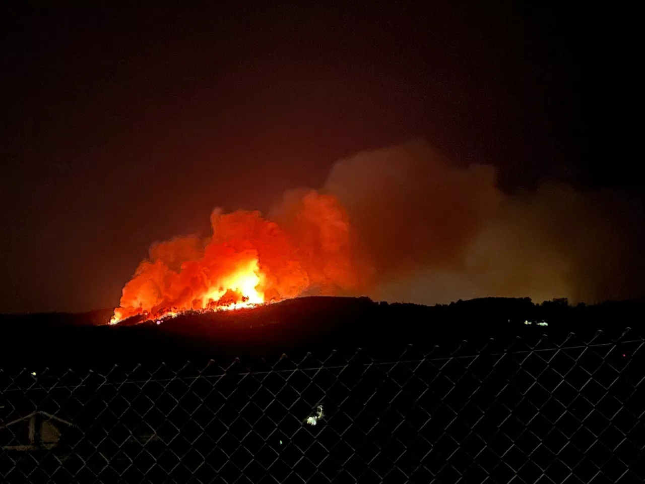 Berangoko sutea. EITB Mediaren bideo batetik ateratako irudia