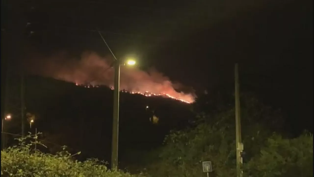 Sutea Bizkaian. Boulevard Radio Euskadiren bideo batetik ateratako irudia.