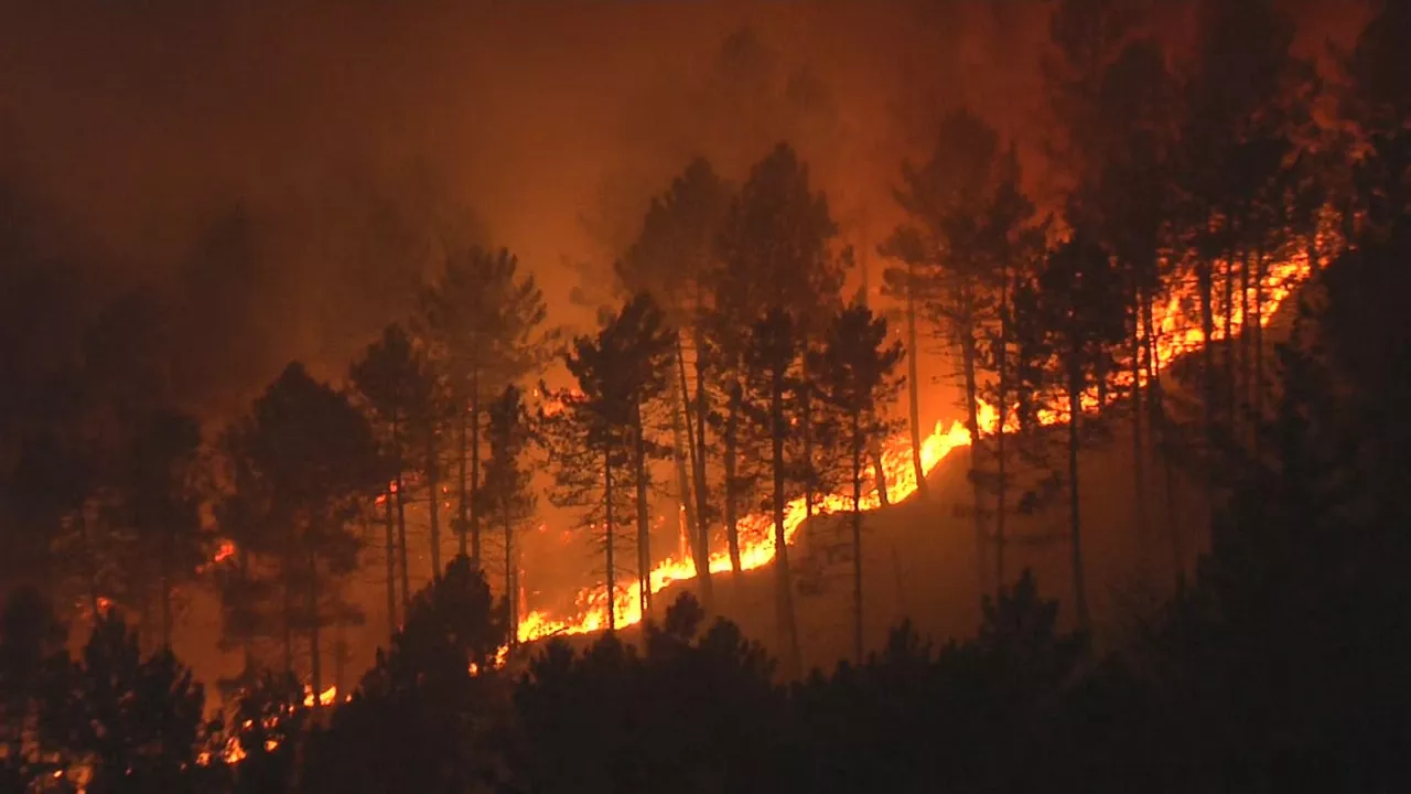 Incendio