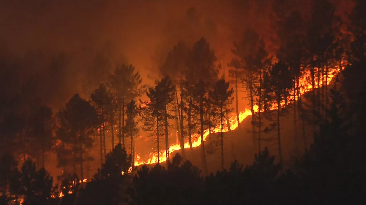 Sua Zugaztietan. EITB Mediaren bideo batetik ateratako irudia