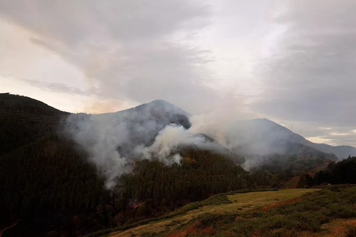 Fuego en un pinar de La Arboleda. Foto: EFE