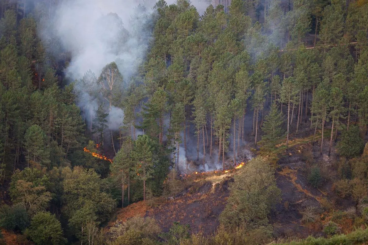 Fuego en Bizkaia. Foto: EFE