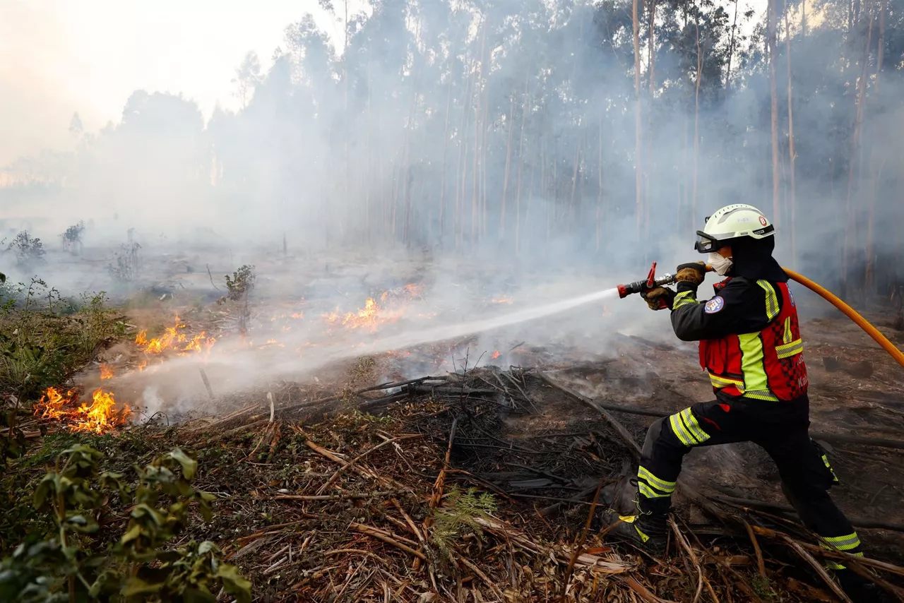 incendio-sutea-berango-arboleda-efe