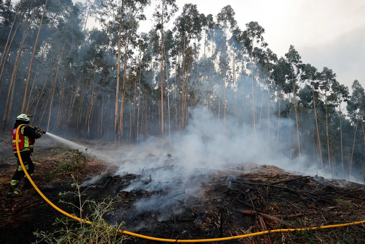 Fuego en Bizkaia (EFE)