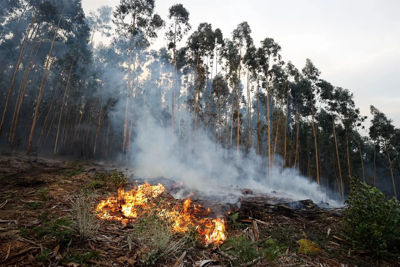 Fuego en Bizkaia (EFE)