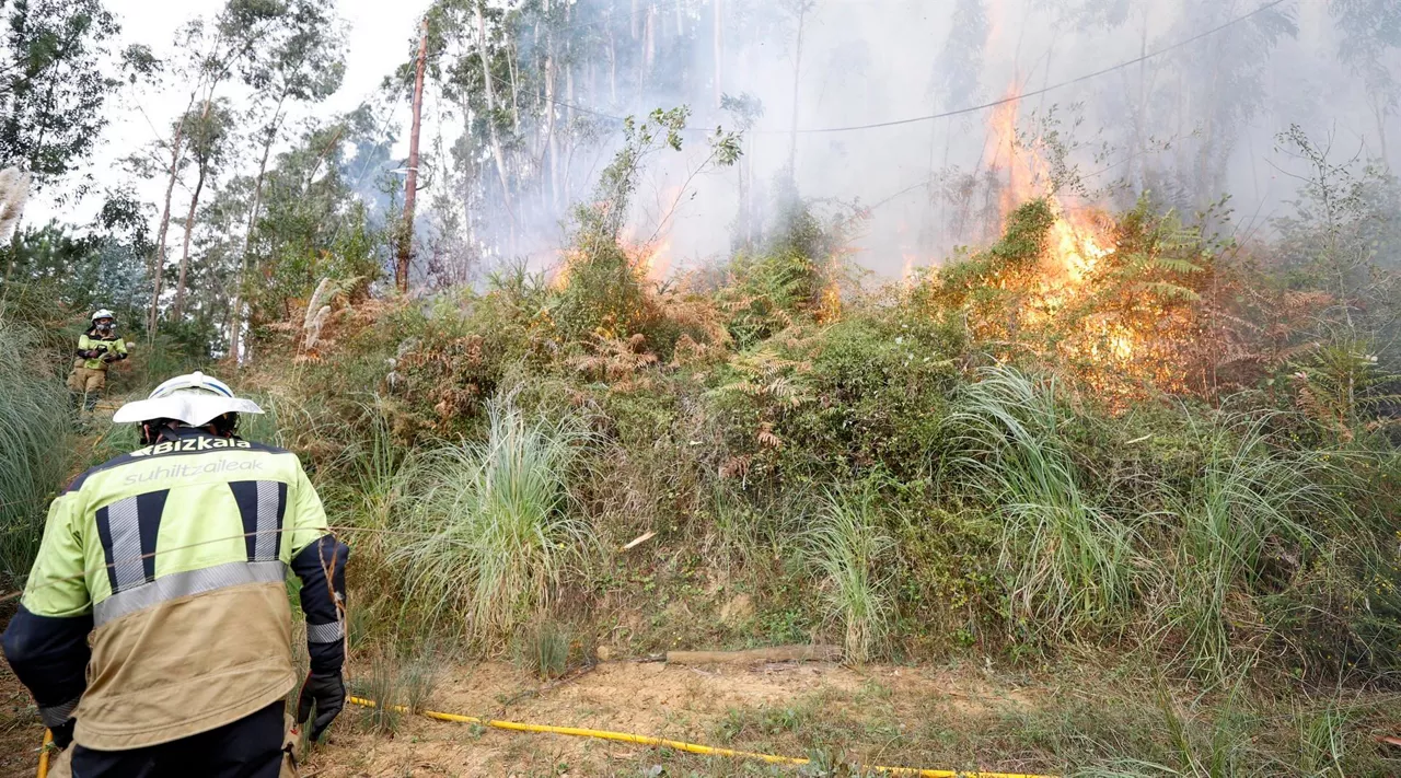 Un bombero en el incendio de Berango. Foto: EFE