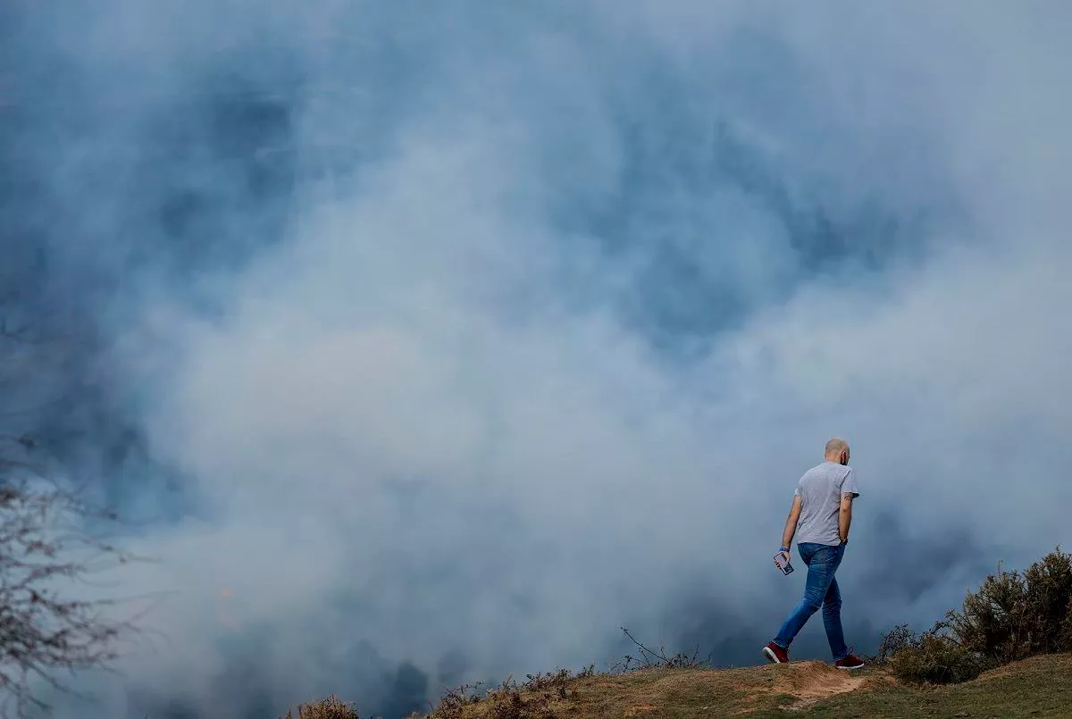 Una persona ante el incendio de la Arboleda. Foto: EFE